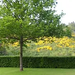 In Mit Gemeinschaftsgarten *