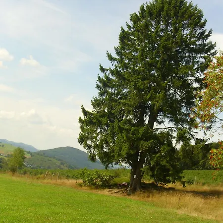 In Mit Gemeinschaftsgarten Apartment Schmallenberg