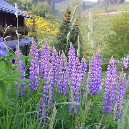 In Mit Gemeinschaftsgarten Apartment *