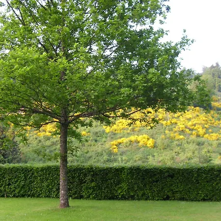 In Mit Gemeinschaftsgarten *