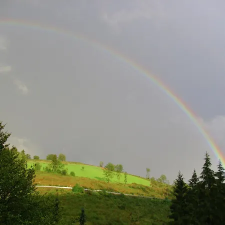 In Mit Gemeinschaftsgarten Apartment *