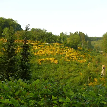 Apartment In Mit Gemeinschaftsgarten