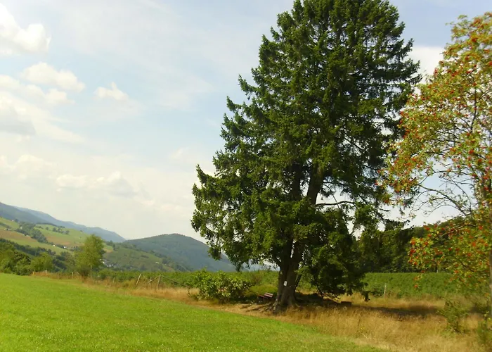 In Mit Gemeinschaftsgarten Apartman Schmallenberg