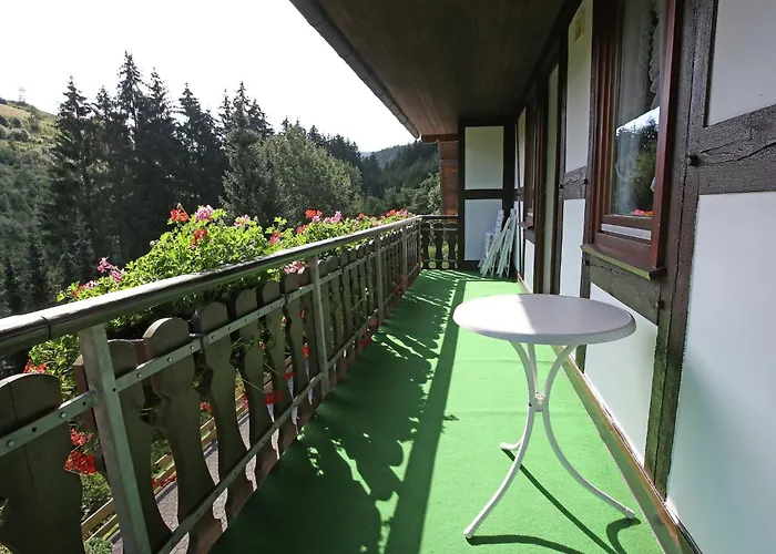 Apartman In Mit Gemeinschaftsgarten Schmallenberg