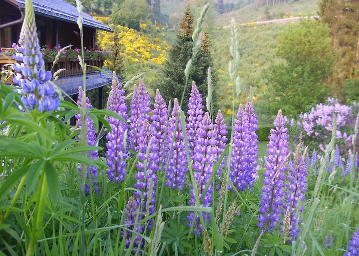 In Mit Gemeinschaftsgarten Apartman *